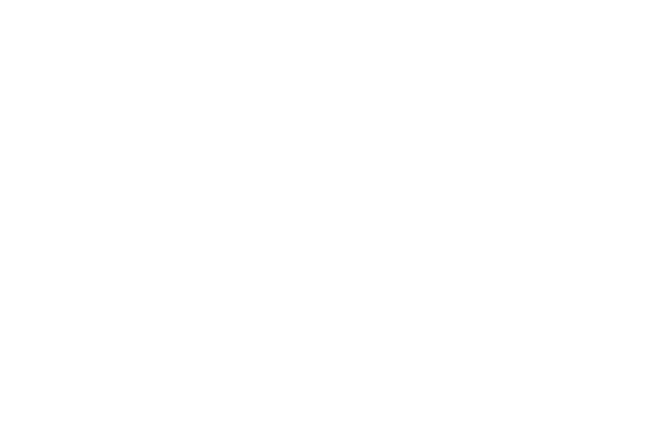 chrissida logo white 01